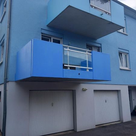 Appartement 3 Pieces Avec Balcon Rhinau 외부 사진