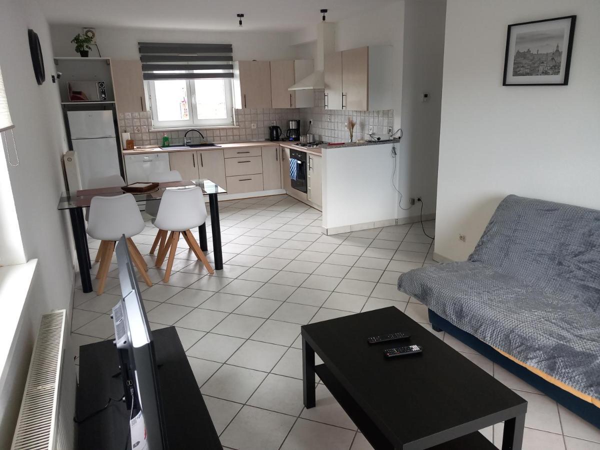 Appartement 3 Pieces Avec Balcon Rhinau 외부 사진